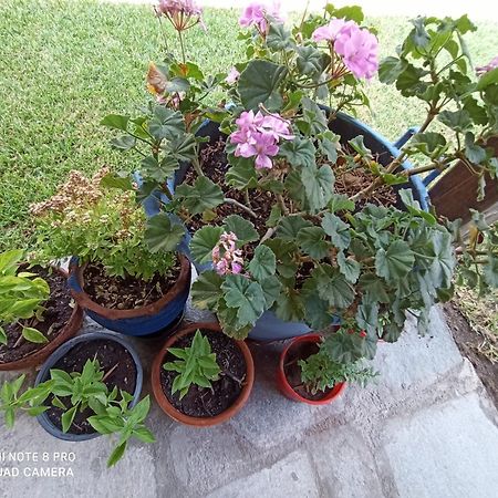 Family Villas فوروفورو المظهر الخارجي الصورة